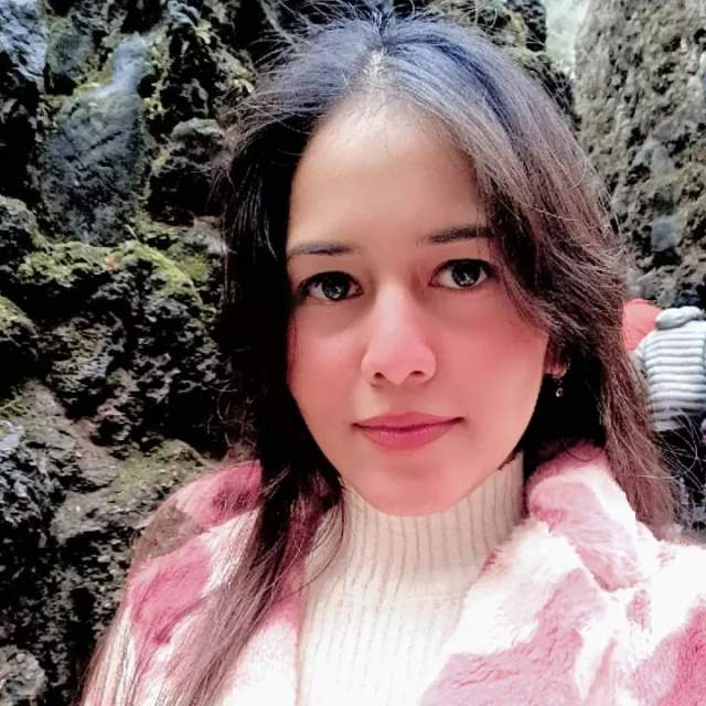 Arsala Zulfi